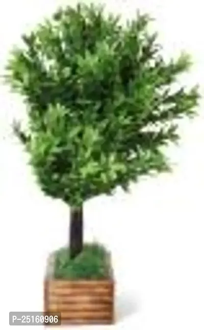 Elegant Bonsai Wild Artificial Plant With Pot Pack of 1-thumb2