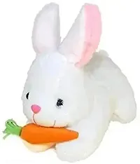 Rabbit Soft Toys-thumb1