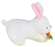 Rabbit Soft Toys-thumb2