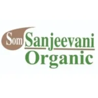 Som Sanjeevani Organic Giloy Powder 200g |Guduchi |Gulvel Stem Powder-thumb1