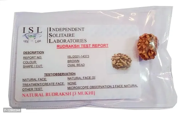 Vidagdha Lab Certified Natural 3 Mukhi / Three Face Rudraksha With Certificate