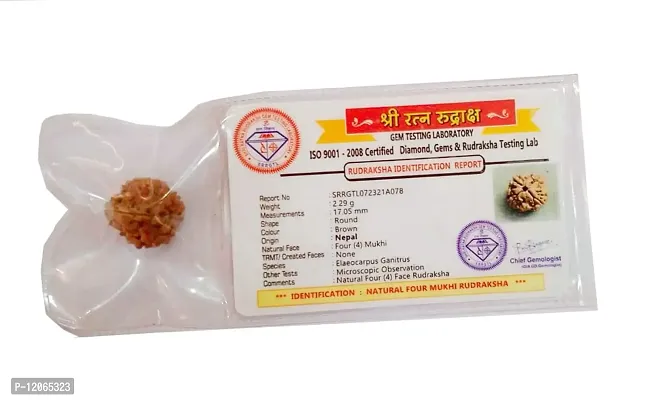 Vidagdha Lab Certified Natural 4 Mukhi / Four Face Rudraksha With Certificate