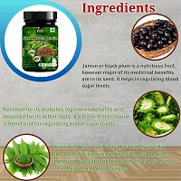 Neem Karela Jamun Powder - For Maintaining Blood Sugar Level-thumb4