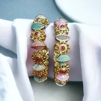 Elegant Bangles Set for Women-thumb1