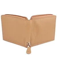 Men Casual beige Artificial Leather Wallet-thumb2