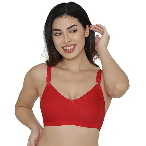 Buy Kalyani Pack of 2 Everyday lacy Bra 5047 Online In India At