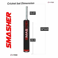 Lyzoo Hard plastic Cricket Bat kit FULL Size (34x4.5) Premium PVC Cricket bat (800g) PVC/Plastic Cricket Bat  (750-800 g)-thumb2