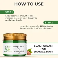 HerbalSupport Scalp Cream For Damage Hair Powerful Formula | Infused with Argan oil of Morocco and Silk Proteins | 100gm (Pack of 1)-thumb2