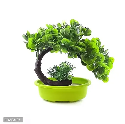 New Design Bonsai Plant for Home and office Decor