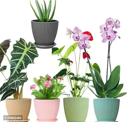 Plastic Round Flower Pots for Home Planters - Pack of 5 Pcs(Multicolor)