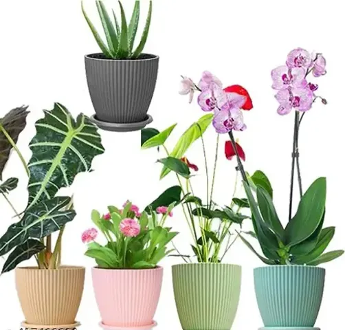 Trendy Artificial Flowers & Vases 