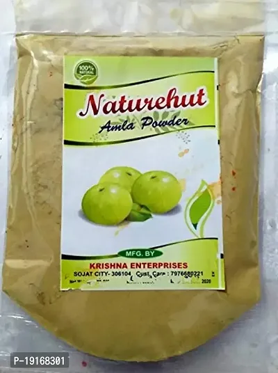 NATUREHUT 100% Natural Organic Amla Powder For Hair Growth (50 GM)-thumb2