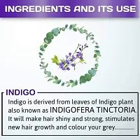 Naturehut Indigo Powder (Indigofera Tinctoria) Organic For Hair Pure Neel Powder For Natural Hair Colorant Black/Brown Hair  Beard Dye/Color-1Kg-M4-thumb4
