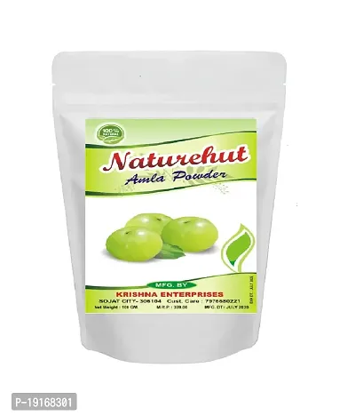 NATUREHUT 100% Natural Organic Amla Powder For Hair Growth (50 GM)-thumb0