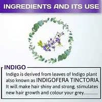 Naturehut Indigo Powder (Indigofera Tinctoria) Organic For Hair Pure Neel Powder For Natural Hair Colorant Black/Brown Hair  Beard Dye/Color-thumb4