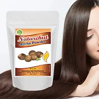 NATUREHUT Natural Aritha Powder for Hair (Reetha/Soapnut Powder), Natural Organic Herbs, Hair Strengthening, Shine, Conditioning (50 G)-thumb2