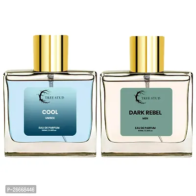 Classic Dark Rabel and Toush Men and Unisex Perfume Scent Eau De Perfume Pack Of 2 100Ml Each