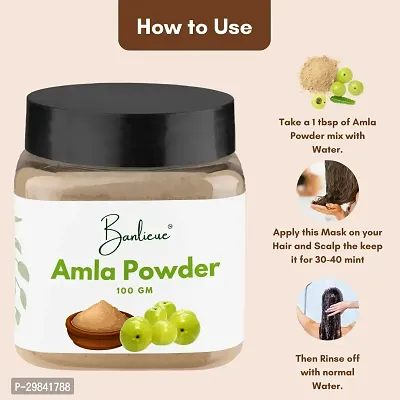 Banlieue Amla Powder Hair and Skin Care Solution-thumb5