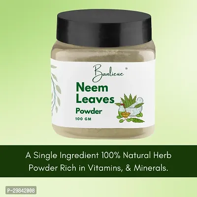 Banlieue Neem Leaves Powder Natural Herbal Powder for Skin and Hair Care-thumb2