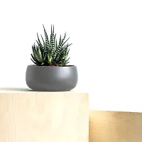 HOMSSY Grey Handi Metal Planter for Plants, Plant Pots for Home Decor, Living Room, Rust Free, Multipurpose Pot, (Plants not Included)-thumb4