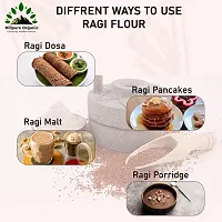 Hillpure Organic Ragi Flour |Finger Millet Flour| Nachani Flour| Unpolished Millet Rich in Protein | High Calcium, Iron, and Fibre | For Digestion Weight, 1 Kg-thumb1