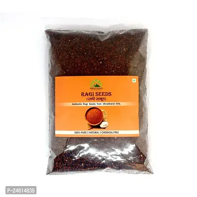 Hillpure Organic Ragi/Nachani Millet Whole Seeds from Uttarakhand | 100% Gluten Free | 0 Pesticide 0 Chemical | Source of good carbohydrates (1 Kg)