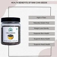 Hillpure Organic Chia Seeds, Raw Chia Seeds, Edible Seeds, For Weight Loss, Rich in Omega 3 (300 gm)-thumb1