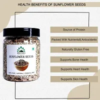 Hillpure Organic Sunflower Seeds, Raw Sunflower Seeds, Authentic and Natural for Healthy Diet, For Weight Management (300 gm)-thumb3