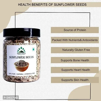 Hillpure Organic Sunflower Seeds, Raw Sunflower Seeds, Authentic and Natural for Healthy Diet, For Weight Management (300 gm)-thumb4