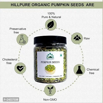 Hillpure Organic Pumpkin Seeds, Raw Pumpkin Seed, Authentic and Natural for Healthy Diet, High Fiber, Protein Rich Superfood (300 gm)-thumb3