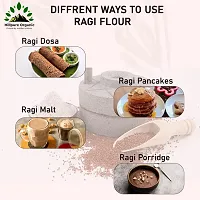 Hillpure Organic Ragi Flour |Finger Millet Flour| Nachani Flour| Unpolished Millet Rich in Protein | High Calcium, Iron, and Fibre | For Digestion Weight loss from Uttarakhand (1 Kg+1 Kg)-thumb3