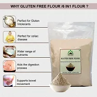 Hillpure Organic Gluten Free Flour, 6 Gluten Free Grains in 1, Gluten Free Atta, Diabetic Friendly (1 + 1Kg), Pack of 2-thumb3