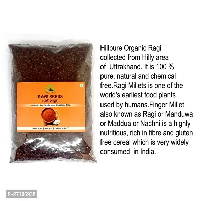 Hillpure Organic Ragi / Nachani Millet Whole Seeds | 100% Gluten Free | 0 Pesticide 0 Chemical | Source of good carbohydrates ( 1 +1 Kg ), Pack of 2-thumb2