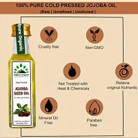 Hillpure Organic Cold Pressed Jojoba Seed Oil,100% Pure  Natural for Face, Hair  Body (65 ml + 65, Glass Bottle), Pack of 2-thumb1