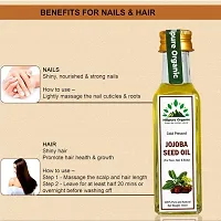 Hillpure Organic Cold Pressed Jojoba Seed Oil,100% Pure  Natural for Face, Hair  Body (65 ml + 65, Glass Bottle), Pack of 2-thumb3
