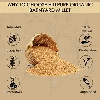 Hillpure Organic Barnyard Millet, Natural Grains, Unpolished, Sanwa, Jhangora Barnyard Millet (1 + 1 kg), Pack of 2-thumb1