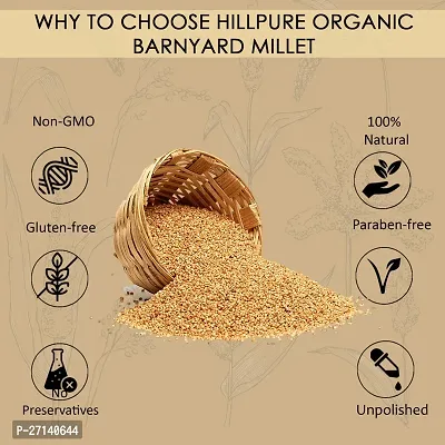 Hillpure Organic Barnyard Millet, Natural Grains, Unpolished, Sanwa, Jhangora Barnyard Millet (1 + 1 kg), Pack of 2-thumb2