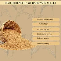 Hillpure Organic Barnyard Millet, Natural Grains, Unpolished, Sanwa, Jhangora Barnyard Millet (1 + 1 kg), Pack of 2-thumb2