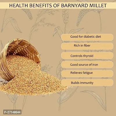 Hillpure Organic Barnyard Millet, Natural Grains, Unpolished, Sanwa, Jhangora Barnyard Millet (1 + 1 kg), Pack of 2-thumb3