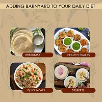 Hillpure Organic Barnyard Millet, Natural Grains, Unpolished, Sanwa, Jhangora Barnyard Millet (1 + 1 kg), Pack of 2-thumb3