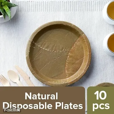 Leaf Plates 25 Plets