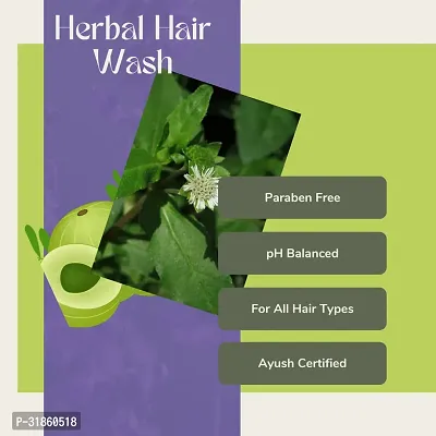 GLAM HERBS Amla Bhringraj Shampoo for Hair Fall Control | Anti-Hairfall  Anti-Dandruff Shampoo | Shampoo for Reducing Scalp Irritation | Paraben  Sulphate-Free | Suitable for All Hair Types 200ml-thumb2