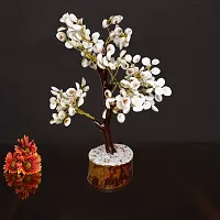 Om ssvmb9 Natural Gomati Chakra Healing Fortune Vastu Plant Sculpture Tree, Good Luck, Wealth, Success  Prosperity; Home Office Table Decor Gift Item 200 Beads,Height:- 9 Inch-thumb2