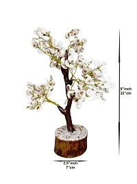 Om ssvmb9 Natural Gomati Chakra Healing Fortune Vastu Plant Sculpture Tree, Good Luck, Wealth, Success  Prosperity; Home Office Table Decor Gift Item 200 Beads,Height:- 9 Inch-thumb1