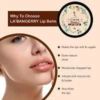 LA'BANGERRY Cocoa Butter Lip Balm for Dry, Damaged and Chapped Lips/Enriched with Cocoa And Vitamin E/Helps lips to stay Hydrated removes dead-skin  Moisturized for Men and Women / 8gm-thumb1