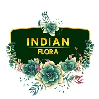 INDIAN FLORA? : DIEFFENBACHIA| Natural Live Plant | Plastic Pot | Air Purifying | Home Decor Plant |-thumb3