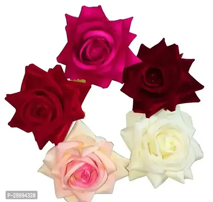 Hair Clip For Women Pack Of 5