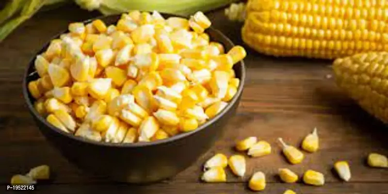 Organic Corn-thumb0