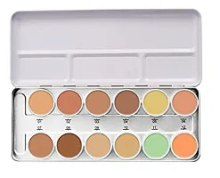 Random-Mac Professional 12 Color Foundation Concealer Palette-thumb1