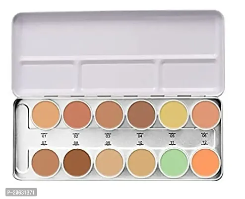 Random-Mac Professional 12 Color Foundation Concealer Palette-thumb2